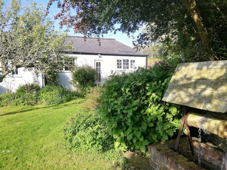 Cozy Country Cottage With Beautiful Rural Views Newquay  Exterior photo